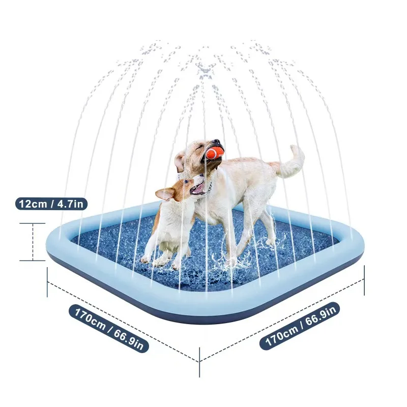 pet friendly, they need to splash and cool off